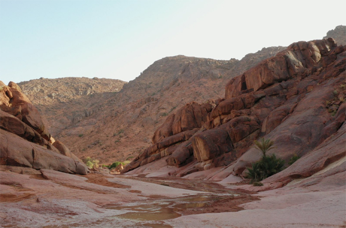 KSA Business: King Salman Reserve advances Saudi Arabia's adventure tourism with accredited trails